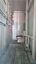 Blk 57 Circuit Road (Geylang), HDB 3 Rooms #600796341